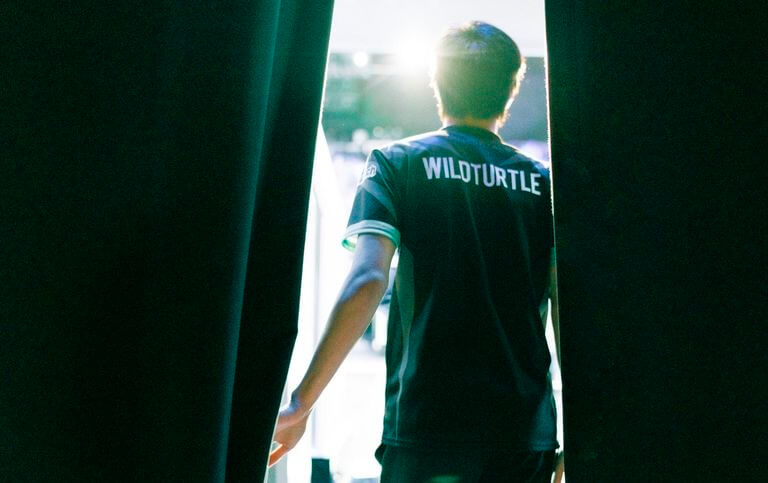 WildTurtle