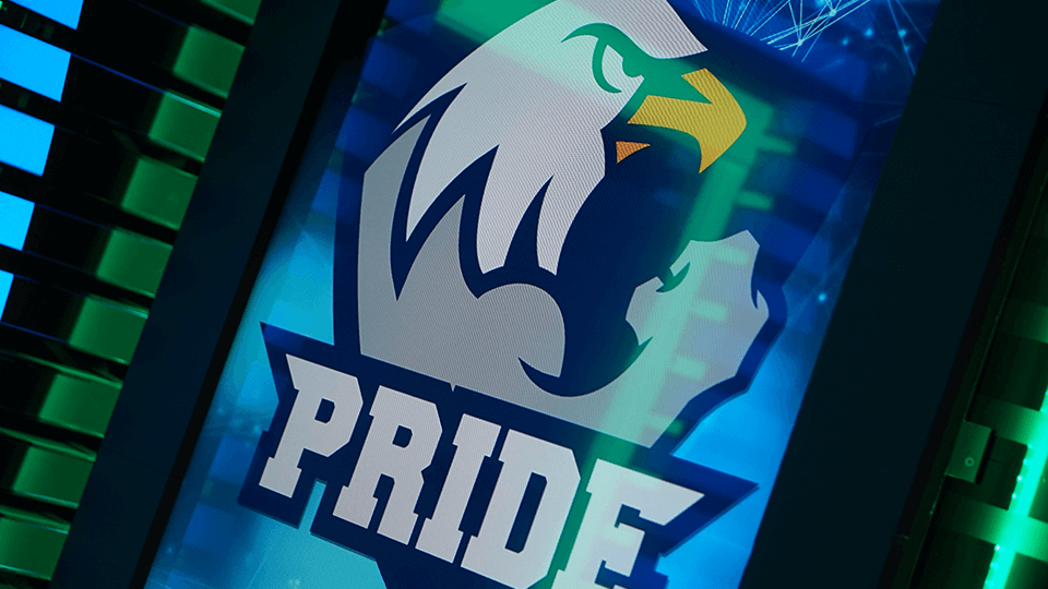 pride