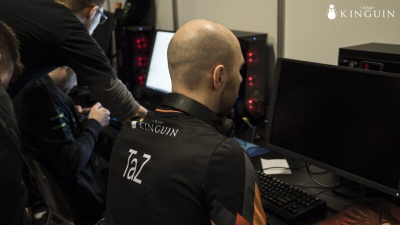 taz kinguin